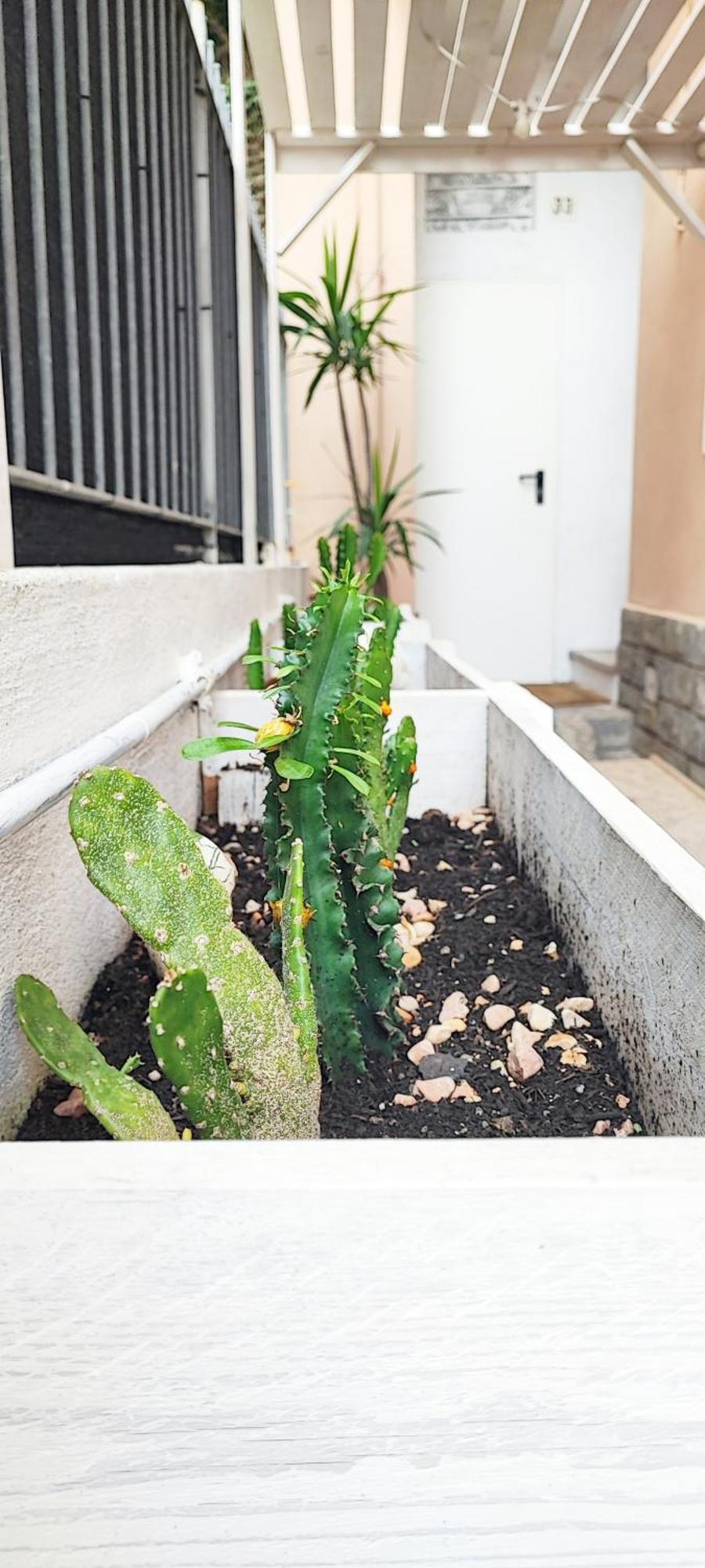 Bibliososta Anche Al 1° Piano Anno 2024 Apartment Ventimiglia Exterior photo